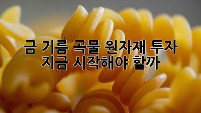 금, 기름, 곡물💰 원자재 투자, 지금 시작해야 할까? 🤔