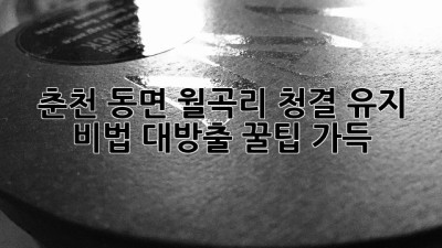 🏡✨ 춘천 동면 월곡리, 청결 유지 비법 대방출! 꿀팁 가득!