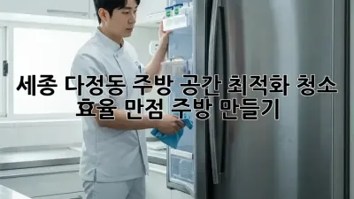 세종 다정동 주방 공간 최적화 청소: 효율 만점 주방 만들기